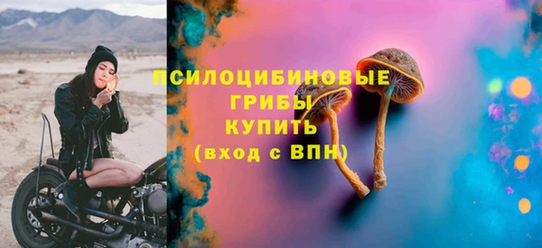 индика Магадан