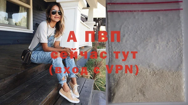 индика Магадан